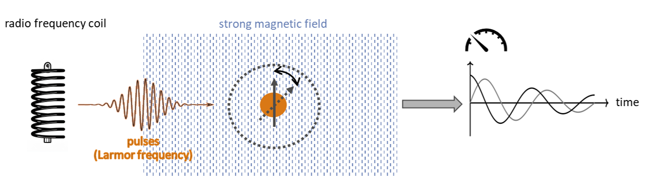 Principles of an NMR spectrometer.